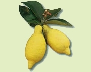 Hosszúkás alakú citrom