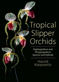 Tropical Slipper Orchids, Paphiopedilum, illetve Phragmipedium fajok és hibridek, Szerző: Harold Koopowitz 