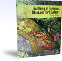 Gardening on Pavement, Tables, and Hard Surfaces, Szerző: George Schenk 
