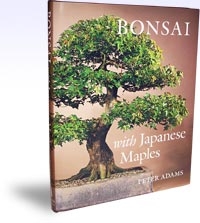 Bonsai with Japanese Maples, Szerző: Peter Adams 