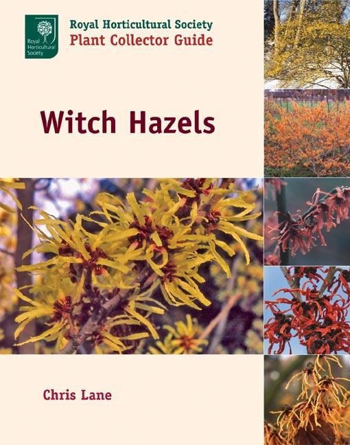 Witch Hazels, Szerző: Chris Lane 