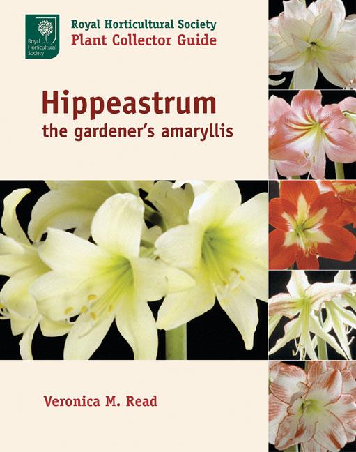 Hippeastrum, the Gardener’s Amaryllis, Szerző: Veronica M. Read 