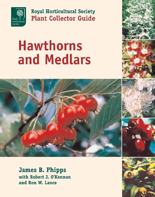 Hawthorns and Medlars, Szerző: James B. Phipps 