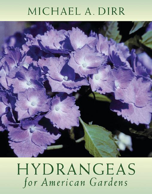 Hydrangeas for American Gardens, Szerző: Michael A. Dirr 