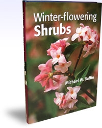 Winter-Flowering Shrubs, Szerző: Michael W. Buffin 