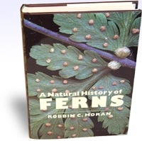 A páfrányok természetrajza. A Natural Hystory of Ferns, Szerző: Robbin C. Moran 