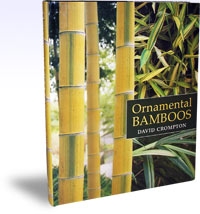 Ornamental Bamboos, Szerző: David Crompton 