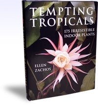 Tempting Tropicals, 175 Irresistible Indoor Plants, Szerző: Ellen Zachos 