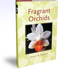 Fragrant Orchids, Szerző: Steven Frowine 