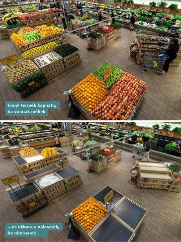 Így nézne ki a szupermarket, ha mind kipusztulnának a méhek