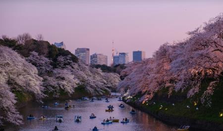 tokyo-park.jpg