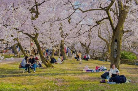 ueno-park.jpg