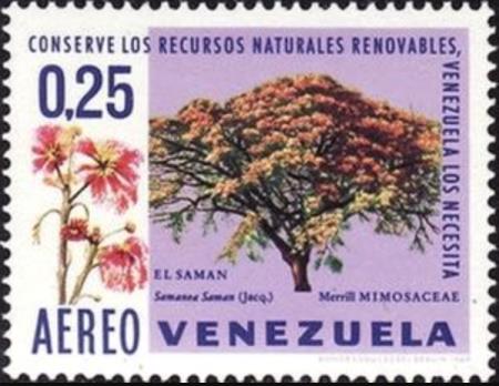 venezuela01.jpg