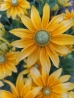 Prairie Sun kúpvirág
