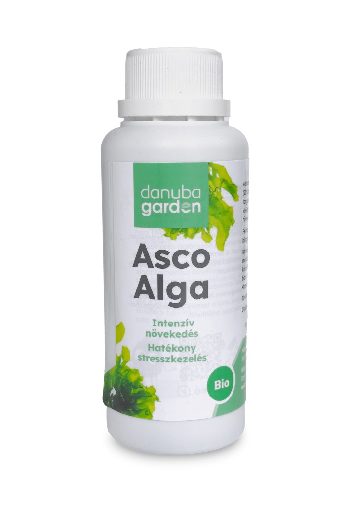 Asco Alga 10 l