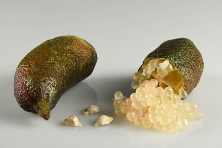 Kaviár citrom, ausztál citrom