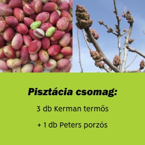 2. - Pisztácia csomag