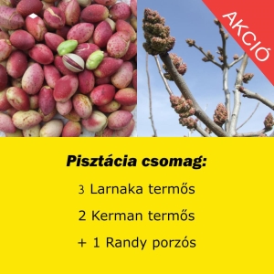 3. -Pisztácia csomag
