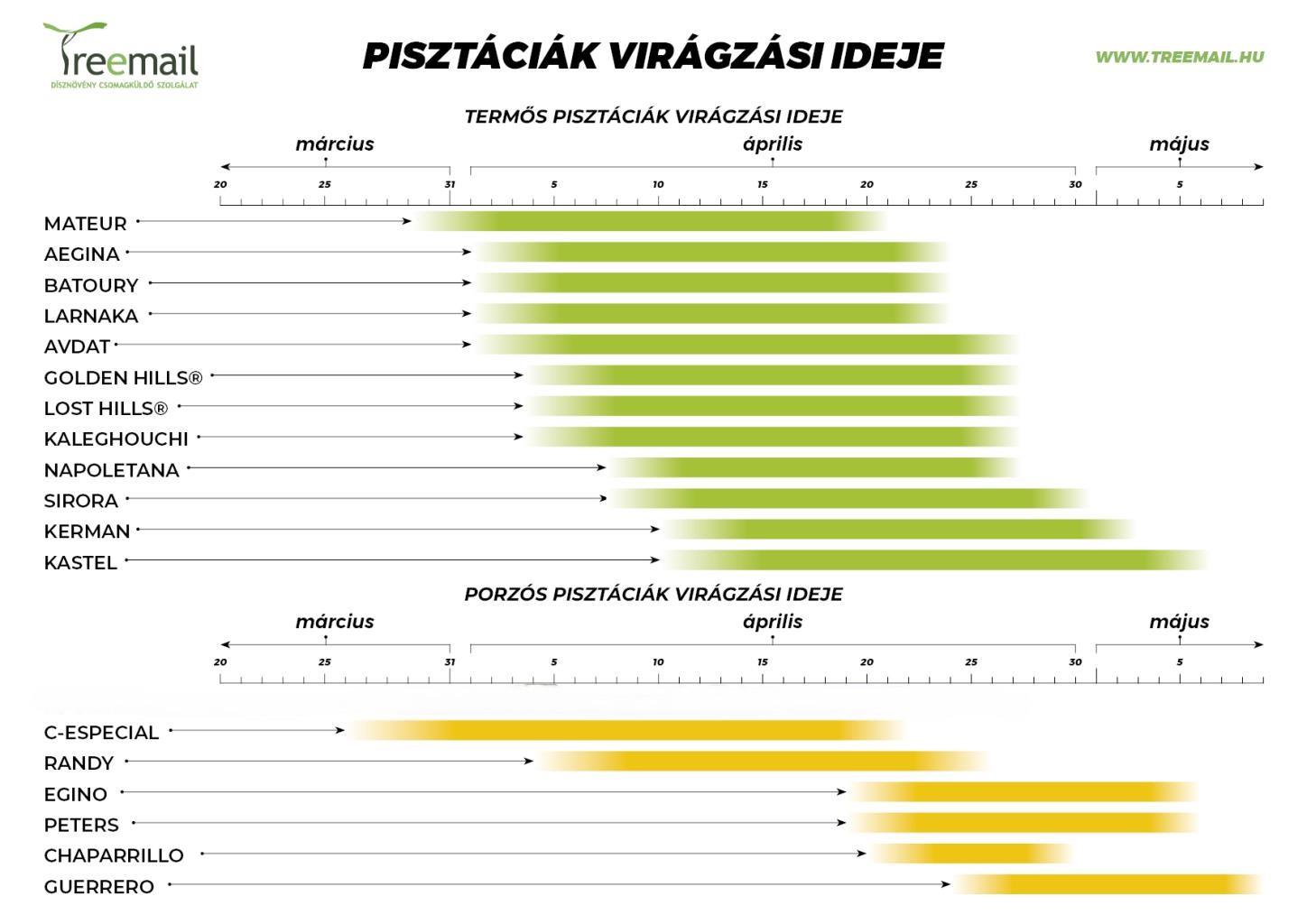 pisztaciak_viragzasa-3.jpg