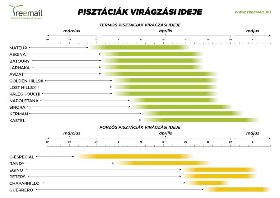 Pisztáciák virágzási ideje