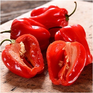 Habanero Red chili paprika