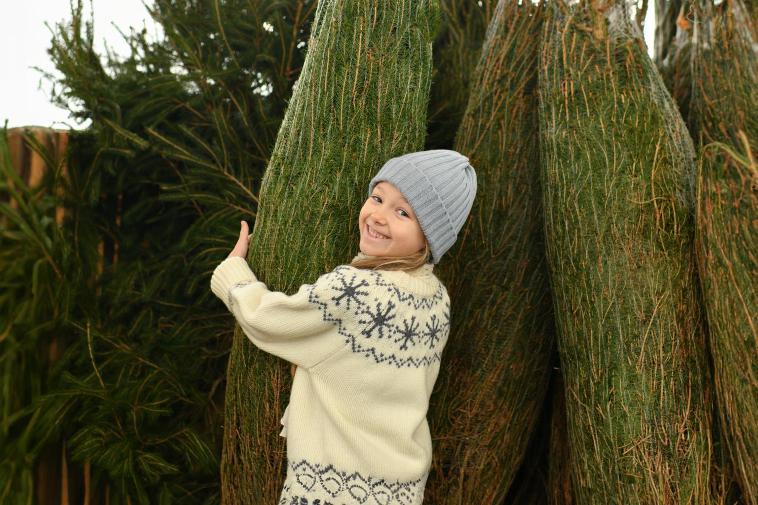 a_girl_buying_a_christmas_tree_in_a_shop_2024_11_27_11_44_03_utc.jpg