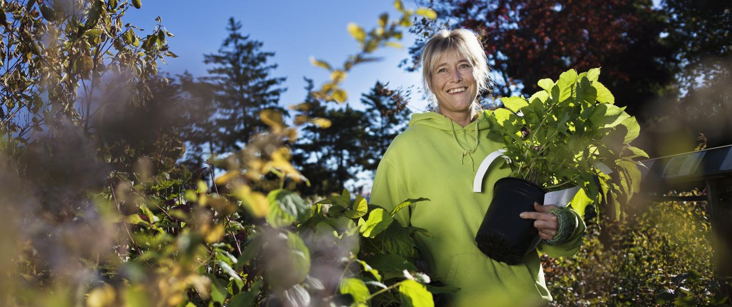 10% kedvezményt vehet igénybe 20.000 Ft feletti vásárláskor. 