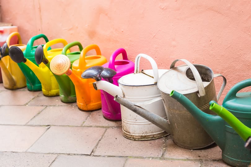 ☀️Öntözési tippek nyári kánikulában – mit érdemes figyelembe venni?