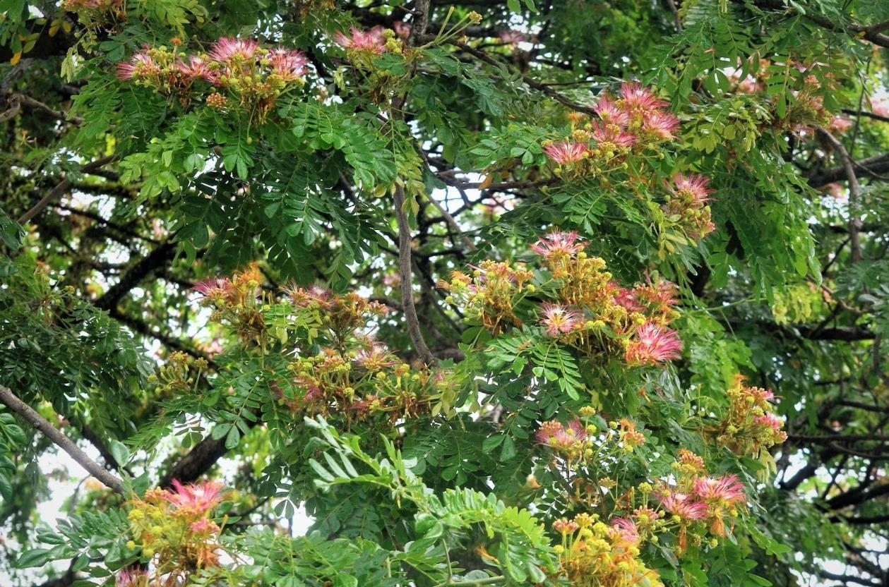 image_23.jpg