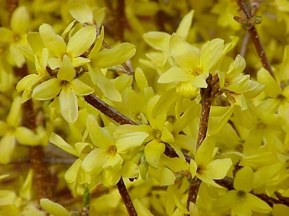 kep_644.jpg