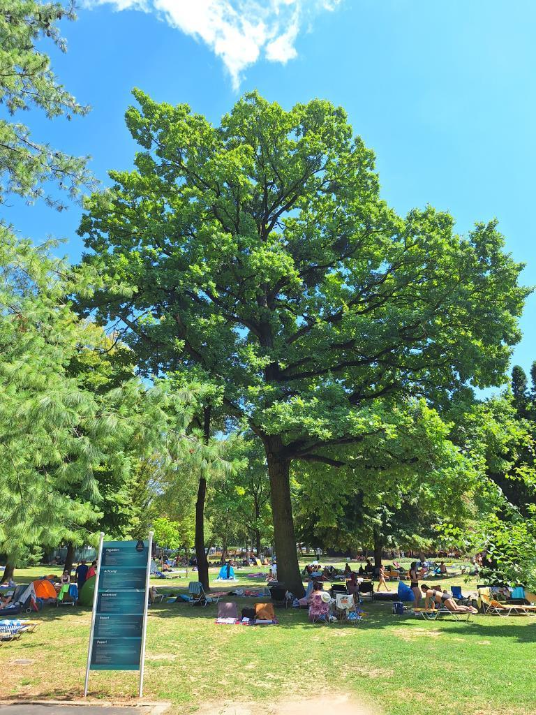 harkanyi_gyogyfurdo_parkja_8.jpg