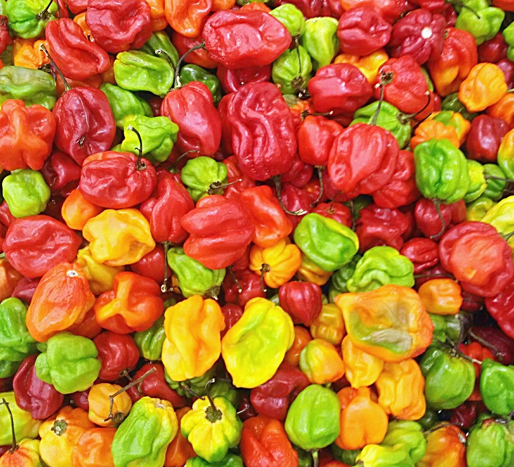 6 db-os chili válogatás