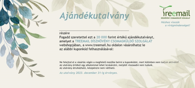 Ajándékutalvány 20000 Ft